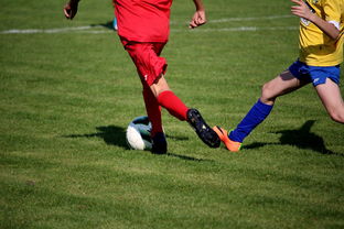 开云官方网-五大联赛是否推动球员通过站位节奏学习适应战术切换，五大联赛地位  第2张